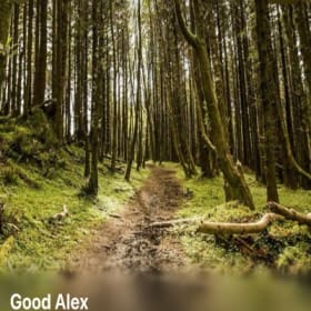 Good Alex content bundle item