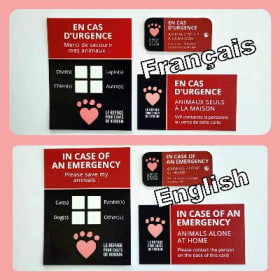 Trois (3) ensembles d'urgence français item