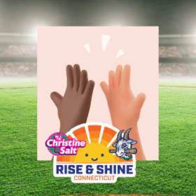 PLAYER HIGH FIVE TUNNEL (with ticket to game) item