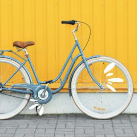 A bicycle tune-up item