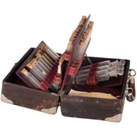 Medecine Case, 1886 item