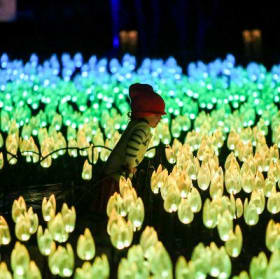 Descanso Gardens for the Whole Family item