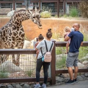 L.A. Zoo for the Whole Family item