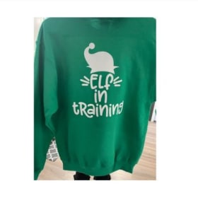Elf in Training Hoodie - Green item