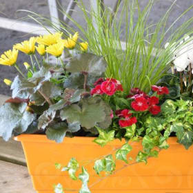 Lundi 18h30: Arrangements Floraux item