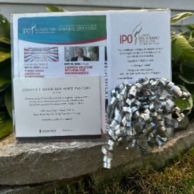 Sip & Symphonies item