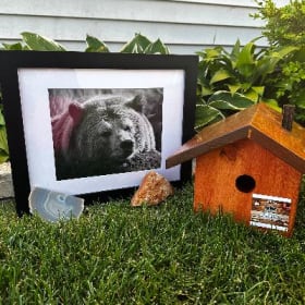 The Great Outdoors item