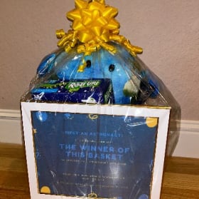 Basket #6 Meet An Astronaut! item