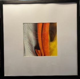 Joan R. Brownstein print item