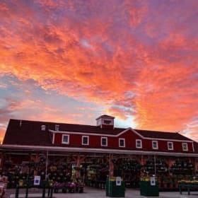 Calareso's Farm Gift Card ($10) item