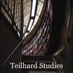 TS 7. Teilhard in the Ecological Age item