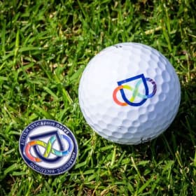 Titleist Pro V1x Golf Balls item