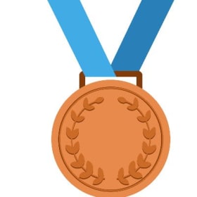 Bronze Medal Sponsor item
