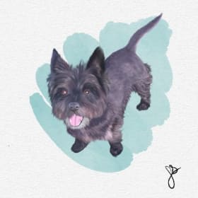 Portrait personnalisé animalier item