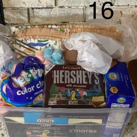 Have S'more fun item