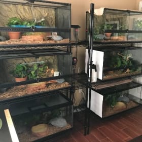 Reptile Room item