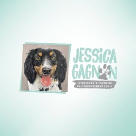 Consultation comportement canin item