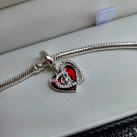 Pandora bracelet item