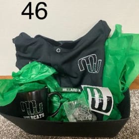 Go Wildcats!! item