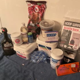 Bundle été équin item