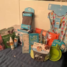 Bundle d'été pour chien item