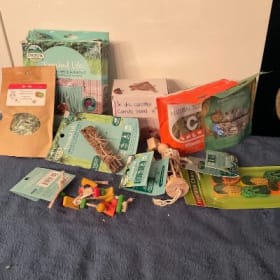 Bundle cochon d'inde item