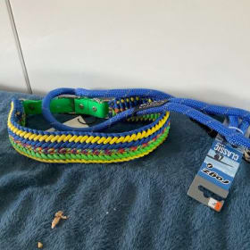 Le très grand chien item