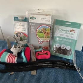 Le petit entrainement item