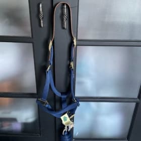 Le sécuritaire item