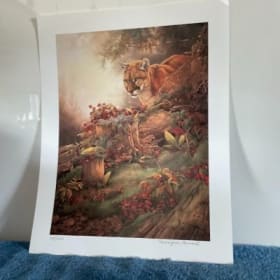 Cougar à l'affut item