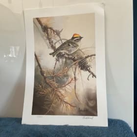 Roitelet à couronne dorée item