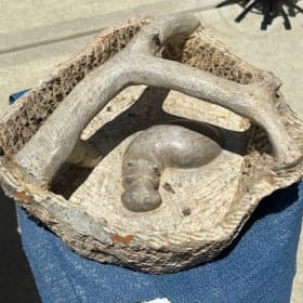 Stone Hippo Planter item