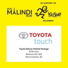 Toyota Delux Vehicle Package item