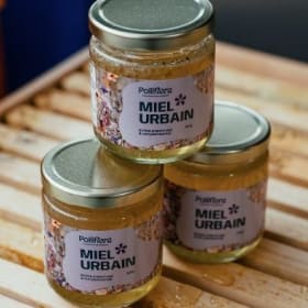 Caisse 12 pots de 310g item