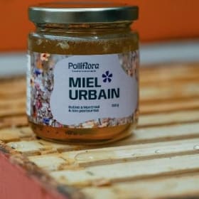 Pots à l'unité (310g) item