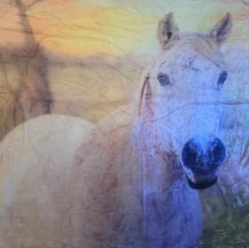 NEW ADD: 50X60 Lilly Fleece plush Blanket item