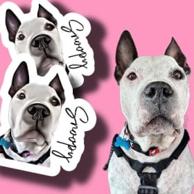 Custom Pet Sticker Portrait Gift Certificate item