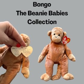 "Bongo" Beanie Babies Collection item