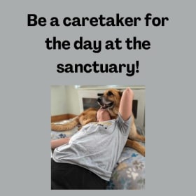 Be A Caretaker For The Day At The Sanctuary! item