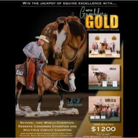 Item # 8 2025 Breed to WFG Gamblers Gold item