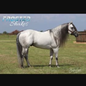 Item #12 2025 Breed to Frosted Shakes item