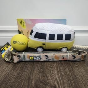 Jouets et laisse pour chien BeOneBreed item