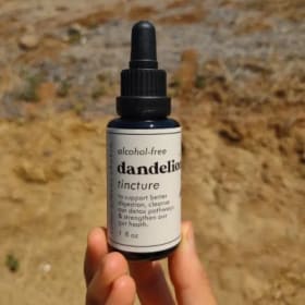 Dandelion Root Tincture *Alcohol-free 1oz item