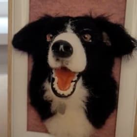 Needle Felt Pets item