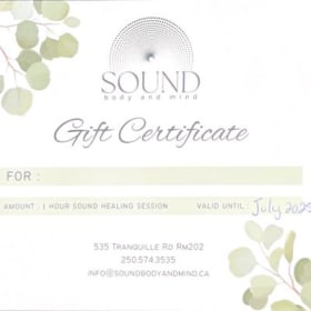 One (1) Hour Sound Healing Session item