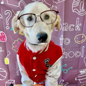 Breaux Butters (bro) item