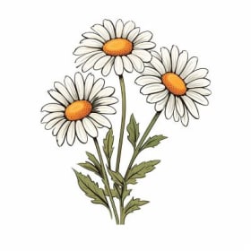 Flower Presentation Bouquet item