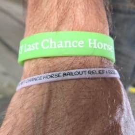 Silicone Bracelet - Purple Small item