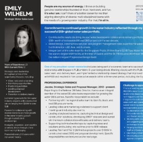 Professional Resume Writing item