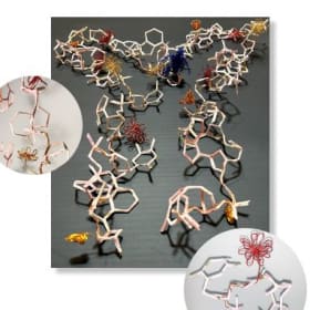 DNA Origami item